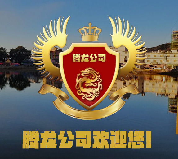 腾龙公司游戏介绍